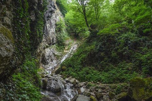  - Image 10